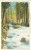 USA – United States – Ashland Creek In Chatauqua Park, Ashland, Oregon, Early 1900s Unused Postcard [P6317] - Other & Unclassified
