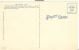 USA – United States – Hollyhock Lane At Provincetown On Historic Cape Cod, Unused Linen Postcard [P6359] - Cape Cod