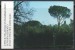 Delcampe - Vatican - Carnet - 1993 - N° Yvert : C942 - Markenheftchen