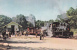 Trains,Pine Creek Railroad ,  Postcard Unused - Subway