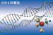 [Y36-53  ]   Chemist  Chemistry  Gene DNA Biochemistry   , Postal Stationery --Articles Postaux -- Postsache F - Chemie