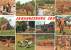 CPM - JOHANNESBURG ZOO (Artco, 537) - Afrique Du Sud