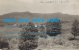 Cpp Amérique USA  Mt Mansfield Vt ( Montagne Vallée Arbuste Chemin Et Cloture De Ranch ) Postcard - Andere & Zonder Classificatie