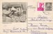 Chicken Eggs Hen Farm Farming Birds 1 STP 1956 Used,Romania - Gallinacées & Faisans