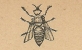 479 Op Kaart Met Stempel WAVRE , Carte Illustrée Abeille - 1929-1937 Lion Héraldique