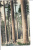 Glimpse Of Oregon Forest Postcard Union Of American Claude Buster Salem Oregon - Salem