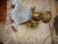 Delcampe - Lampe Applique Dit Bateau Tulipe Opaline Opalescente - Luminaires & Lustres