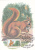 Squirrel,Sciurus Vulgaris,1985 CM,maxicard,cartes Maximum Romania. - Roedores