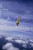 12A -098   @  Parachute,  Parachutting Fallschirm Paracaidismo   ( Postal Stationery, -Articles Postaux -Postsache F - Fallschirmspringen