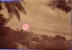 Delcampe - LOT DE 10 PHOTO ALBUMINE  DE TAHITI PAPEETE ** LOT OF 10 OLD ALBUMEN PHOTO OF TAHITI - Tahiti