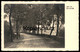 ÄLTERE POSTKARTE AUF DER LANDSTRASSE STEMPEL BAD DOBERAN Straße Weg Street Road Route Rue Allee Alley Cpa Postcard AK - Bad Doberan