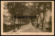 ALTE POSTKARTE HEINSBERG PROMENADE Allee Alley Baum Arbre Tree Cpa Postcard Ansichtskarte AK Belgische Militärpost - Heinsberg