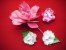 Epingle Avec Fleurs (oeillet  Camelia Et Rose)  Pour Decor De Veste - Autres & Non Classés