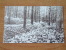 VALLON DES AILS / Anno 1927 ( Zie Foto´s Voor Details ) !! - Andere & Zonder Classificatie