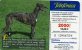 TELECARTE UTILISEE ....FAUNE IBERIQUE.....GALGO ESPAGNOL.....VOIR PHOTO SCANNEE - Colecciones