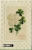 Um 1910/1920 Ansichtskarte Blumen,  Gelaufene Karte - Sonstige & Ohne Zuordnung