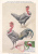 HEN BIRD 1963 CM, MAXICARD,MAXIMUM CARD,obliteration FDC,premier Jour, ROMANIA. - Gallinacées & Faisans