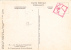 HEN BIRD 1963 CM, MAXICARD,MAXIMUM CARD,obliteration FDC,premier Jour, ROMANIA. - Hoendervogels & Fazanten