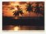 Mint Post Card From Bahama Islands - Sonstige & Ohne Zuordnung