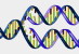 ( AN03-064  ) @      DNA Chemistry Biochemistry Gene  .   Pre-stamped Card  Postal Stationery- Articles Postaux - Chimie