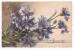 [w963] Italy Postcard Cartoline Illustratta Per Sofia Chiostry Artist Signed - Flowers - Otros & Sin Clasificación