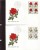 Switzerland,1972. Pro Juventute, Roses  In 4-er Block,  FDC - Covers & Documents