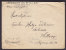 Austria CHEMIKALIEN UND METALL A.G. 3000 Kr Frauenkopf WIEN 1924 Cover To HELLERUP Danemark (2 Scans) - Storia Postale