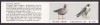 Norway 1981 Mi. 827-28 Markenheftchen Booklet MH 4 (2x5) Birds Vögel Wanderfalke Falcon MNH** (2 Scans) - Carnets