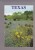 Blue Bonnets And Cactus,   Texas - Other & Unclassified