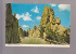 Needles Highway In The Beautiful Black Hills Of South Dakota - Andere & Zonder Classificatie