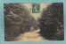62  -  Les Environs De BETHUNE - Autre Site Pris Dans Le Bois De Dames à GOSNAY - 1907 - BELLE CARTE ANIMEE  - - Bethune