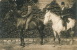 HIPPISME - Belle Carte Photo Cavaliers Sur Leur Monture (non Située) - Hippisme