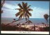 The Bahama Island Bahamian Climbs For A Coconut 1981 - Bahamas