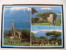 CARTOLINA KENIA KILIMANJARO ELEFANTI GIRAFFE - Kenia