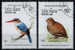 BIRDS / LAO / 5 CTO STAMPS / 3 SCANS  . - Piciformes (pájaros Carpinteros)