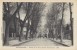 19a - 38 - Beaurepaire - Isère - Avenue De La Gare (Avenue Jean-Jaurés) - 1931 - Beaurepaire