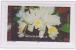 Wallis Et Futuna N° 513 à 516** Neuf Sans Charniere  FLORE Fleurs Orchidées Du Pacifique - Unused Stamps