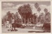 Argentina - Buenos Aires - Jardines De Palermo, Cars. Postally Used, 1950's,  Message In English. - Argentine