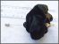 Fibule Pic épingle à Chapeau Rétro En Velours De Soie Dévoré Noir En Tissu Haute-Couture, Elle Mesure Environ 6,5x6x10cm - Broschen