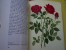 Die Rose TANTAU WEINHAUSEN - 1956 VERLAG EUGEN ULMER - Relié - 10 Farbtafeln - 46 Textabbildungen - - Natura