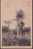 Micronesia - Vews Of Truk Island, Palm Trees, Japanese Vintage Postcard - Micronésie