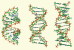 [NZ08-111  ]    Chemistry Gene DNA Biochemistry, Postal Stationery --Articles Postaux -- Postsache F - Chemistry