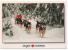 - CANADA. - Une Balade En Traineau-à-Chiens - A Dog Sleigh Excursion   - (17x12 Cm.) - Scan Verso - - Modern Cards