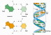 ( AN03-051  ) @      DNA Chemistry Biochemistry Gene  .   Pre-stamped Card  Postal Stationery- Articles Postaux - Chemistry