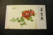 PRC China 1905-10 Special Folder Chinese Roses Rose Flora Day Of Issue Cancel 1984 A04s - Covers & Documents