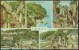 "CLOVELLY"  Multi-view - A Salmon Postcard (number 4532).  C1960 - Clovelly