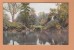 Ireland Irlande Du Nord Belfast ( Botanic Gardens) Carte Postale Postcard - Antrim
