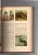 Sammelbilderalbum, Album, Nago, Olten, Schweiz 1949, Komplett Mit 534 (!) Sammelbildern - Albums & Katalogus