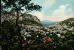 CARTOLINA :  CAPRI  Panorama En 1955 - Carpi