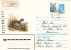 ANIMAL RODENTS,RONGEURS, MARTES 1985 REGISTRED COVER STATIONERY ENTIER POSTAL RUSSIA. - Rodents